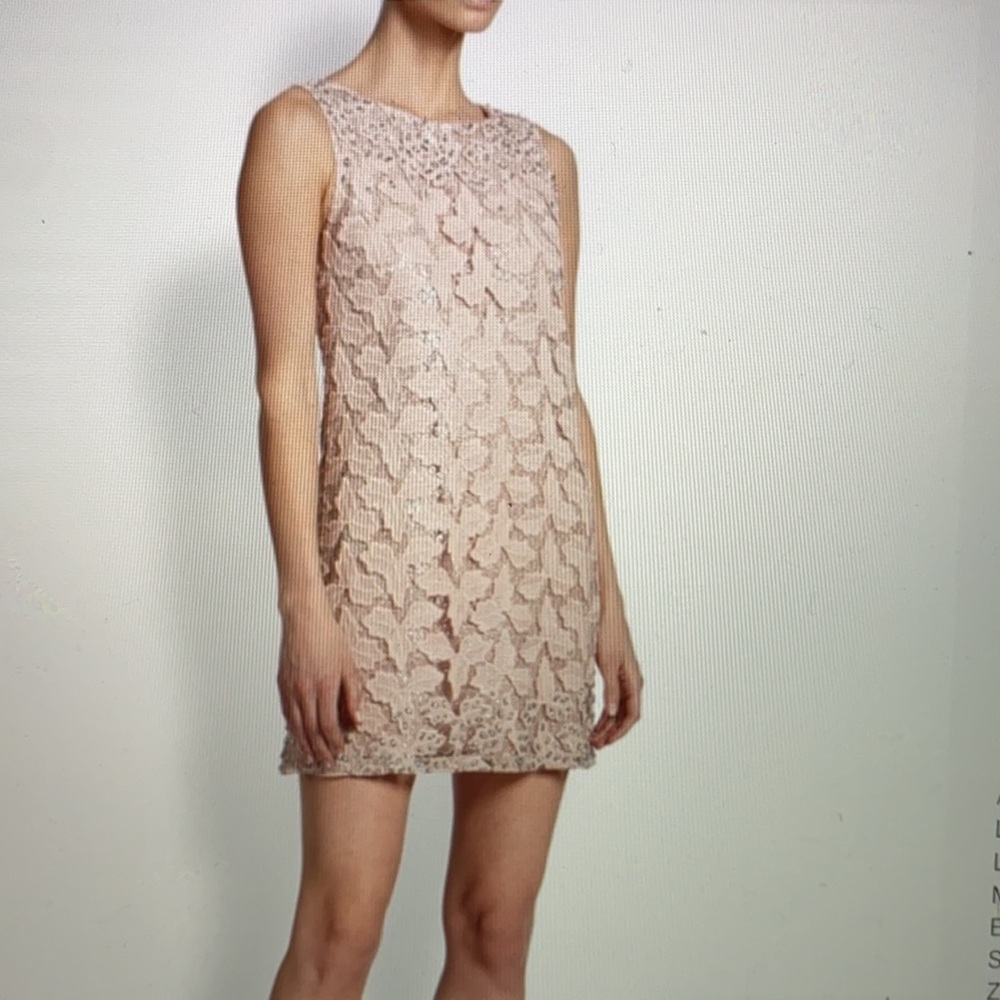 Alice & Olivia Pink Lace Sleeveless Mini Dress